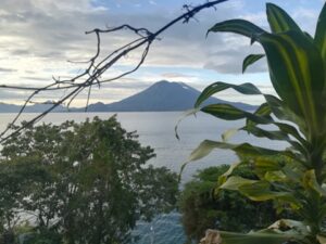 View of an Island through the trees